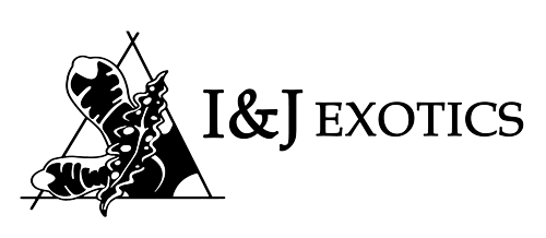 IJ Exotics